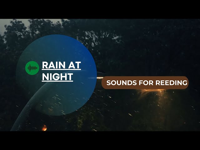 SOUNDS for reading BOOKS | Rain at night near the highway and forest🌳
