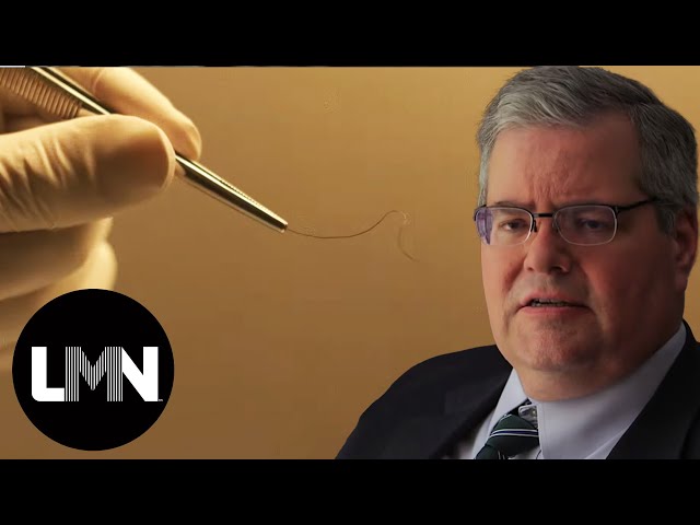Nurse Finds Crucial Hair Evidence in Murder | Cold Case Files | LMN