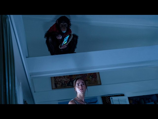 Primate Ending Explained What Happens To Ben And Who Survives His Rampage