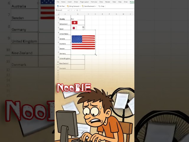Insert Country Flags in Excel (Pro vs Noob) excelProTips