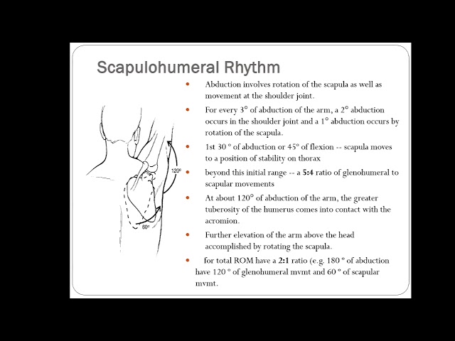 Osteo kinematics and arthrokinematics by Dr Kirti Chhabra| Physiotherapy| RPIIMS