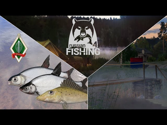 Feeder-Herausforderung bearbeiten Zobel, Zope, Don - Ehrenfischer Windenbach | Russian Fishing 4
