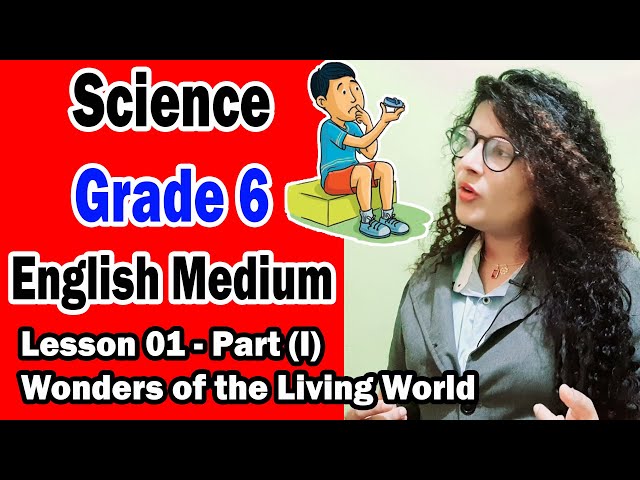 Grade 6 Science English Medium Lesson 1 Wonders of the Living World |Science English Medium Textbook
