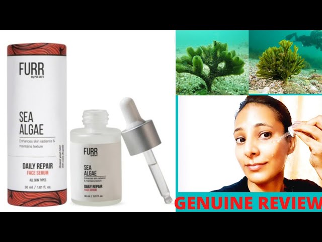 Sea algae Daily repair face serum : My honest review (2022) | Furr by peesafe | Your Pal