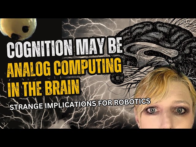 Cognition May Be Analog Computation: Implications for Robotics