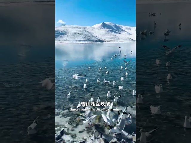 How to Experience Winter in Tibet? Blue Ice + Mt. Everest Panoramic Loop