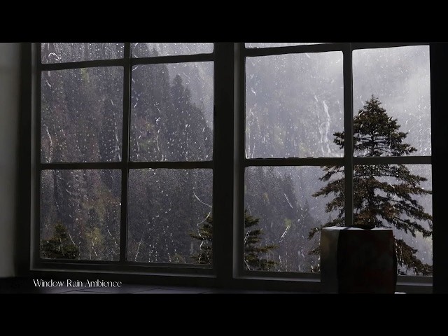 Heavy Rain Sounds with Thunder on Window 🌧️ Cozy Night Ambience for Sleep, Study & Stress Relief