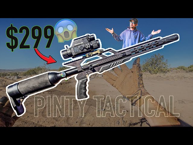 Shockingly CHEAP Airgun! the PINTY .22 cal PCP