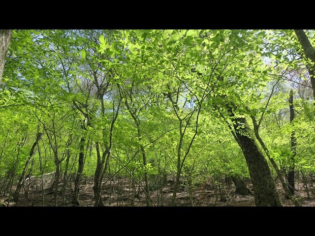 ⛏［ 𝗠𝗜𝗡𝗘𝗖𝗥𝗔𝗙𝗧 ］▸ 𝓓𝓪𝔂. 1153［26.01.05］