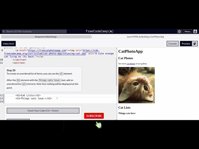 Responsive Web Design - Cat Photo App - 19,20,21