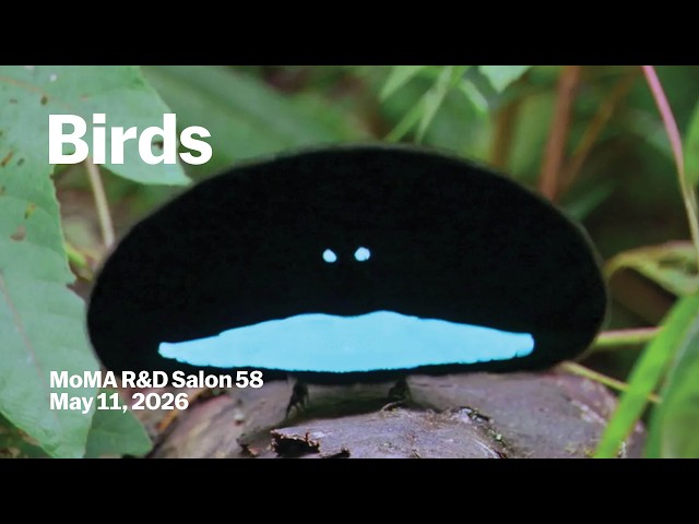 Birds | MoMA R&D Salon 58 | MoMA LIVE