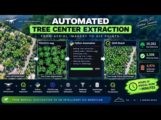 Automated Tree Detection & Center Point Extraction from UAV Orthomosaic | YOLO + GIS