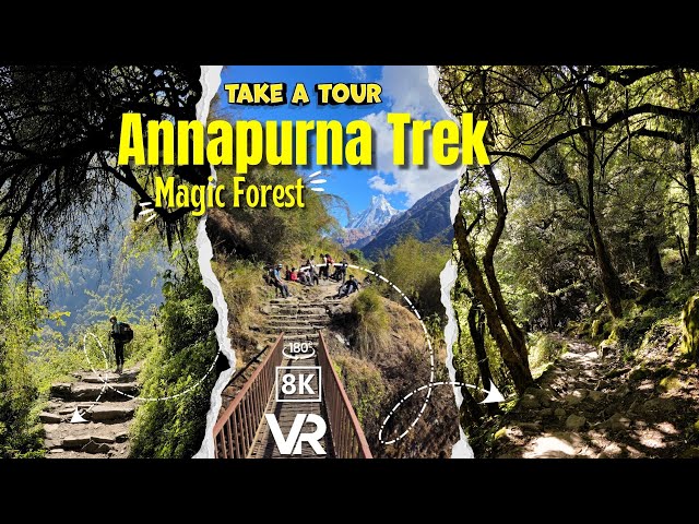 Fairy Tail Forest Walk (VR180 8K) Annapurna Base Camp Trek – Day 5, Part 2