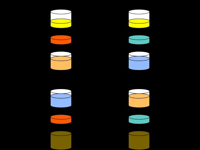 Key Exchange: Diffie Hellman #cryptography #diffiehellman #pki #cybersecurity