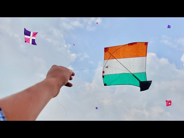 Kite Looting From Terrace | Omg Patang Mil Gai | Kite Catching | Kite