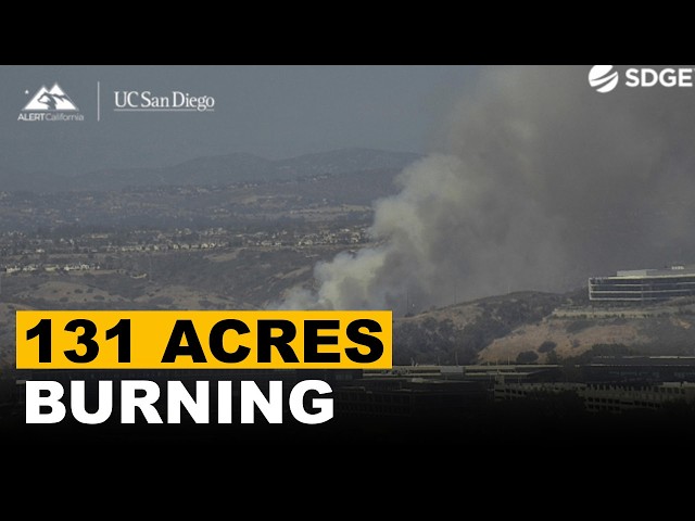 Sorrento Valley Brush Fire Forces Mandatory Evacuations As Firefighters Battle 131 Acres