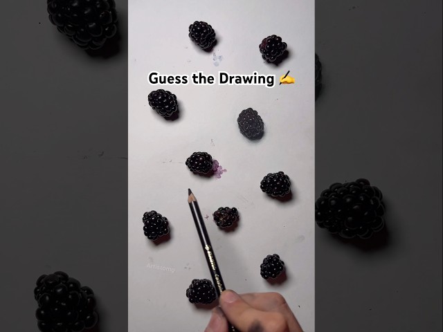 Did you Find the Blackberry Drawn?! 🤔 #artistomg #realism #drawing