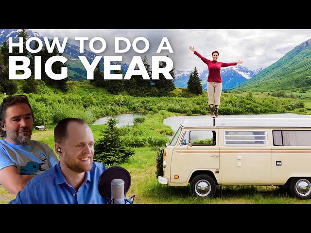 Big Year Tips from Birding By Bus | Chirp from Episode 12