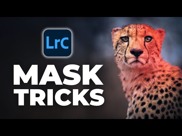 7 Masking Techniques That Transform Wildlife Photos