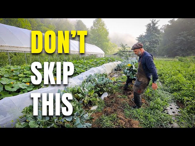 The Garden Chore You Can’t Skip (Or Spring Will Punish You)