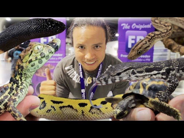 The Amazing Animals of the Daytona Reptile Show