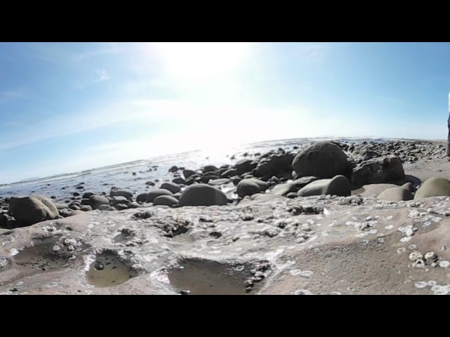 360º Camera: Bella at the Beach