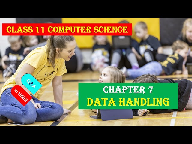 CLASS 11 COMPUTER SCIENCE CBSE CHAPTER 7 DATA HANDLING SHORT ANS FULL
