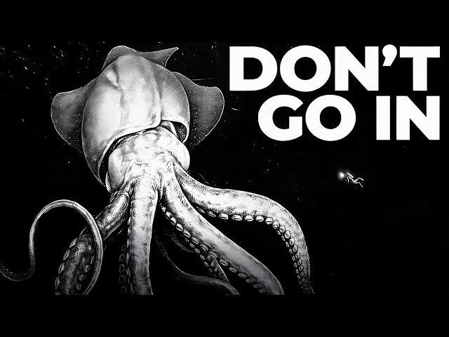 Why We Can't Truly Explore the Antarctic Ocean