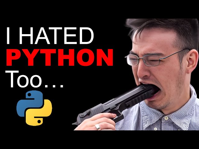 Learn Python Fast with AI