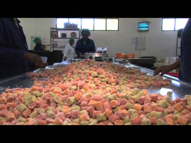The dried fruit factory process