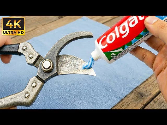 La manera fácil de afilar tijeras de podar viejas en tan solo 2 minutos.