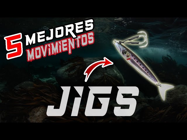 JIGS|| ✅ TOP 5 mejores MOVIMIENTOS para pescar LUBINAS a SPINNING {FUNCIONAN}