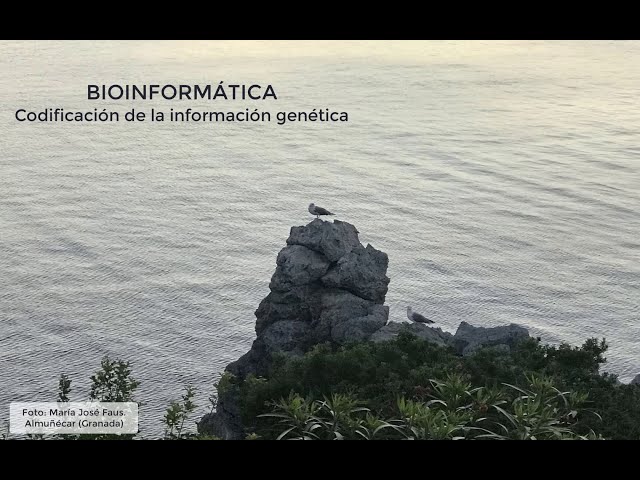 Bioinformática: 3. Codificación de la información genética.