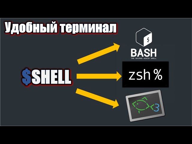 Shell Comparison: BASH vs. ZSH vs. FISH. Creating a colorful and user-friendly terminal.