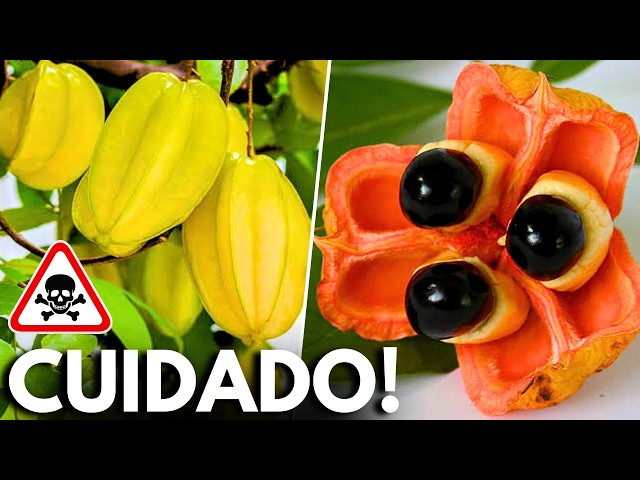 As 20 Frutas Mais PERIGOSAS do Mundo Que Você Deve Tomar Muito CUIDADO
