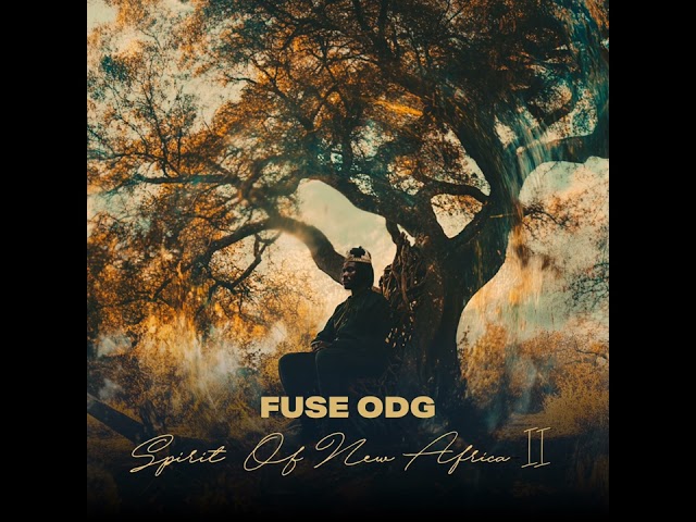 Fuse ODG - Papi ft. Sarkodie (Official Audio)