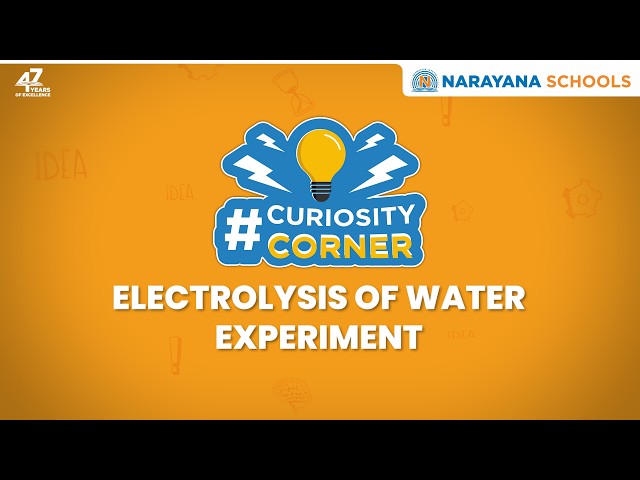 Can Electricity Split Water? | Electrolysis of Water Experiment