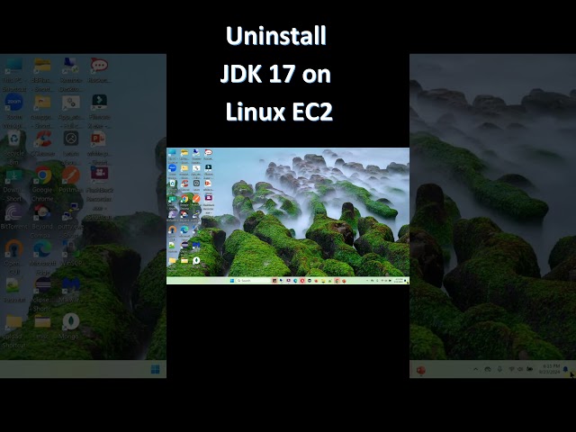 Uninstall JDK 17 on Linux EC2