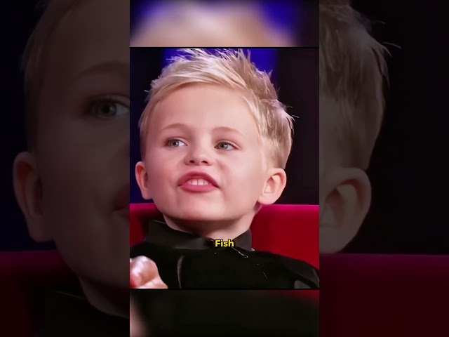 🥰🥰The cutest Scottish boy.  #steve #funny #variety #steveharvey #fpyシ