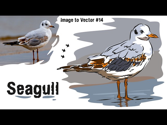 How I Vectorized a Seagull in CorelDRAW | Step-By-Step Vector Art Guide for Beginners | Illustration