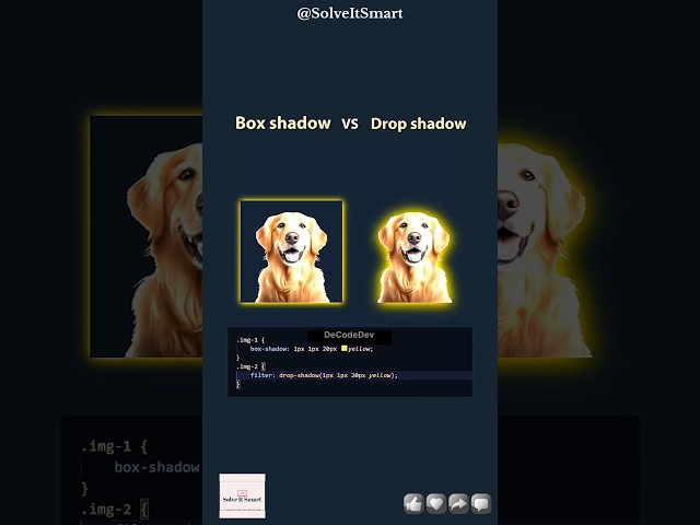 🥵🔥 Box Shadow VS Drop Shadow in CSS || Solve It Smart