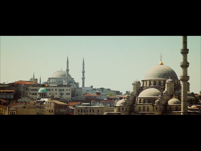 Sole Selectors: Mr. Ties