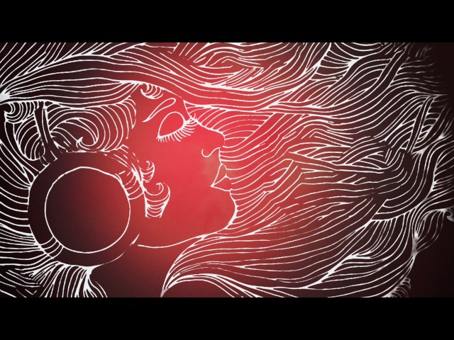 Zander - Desembarque