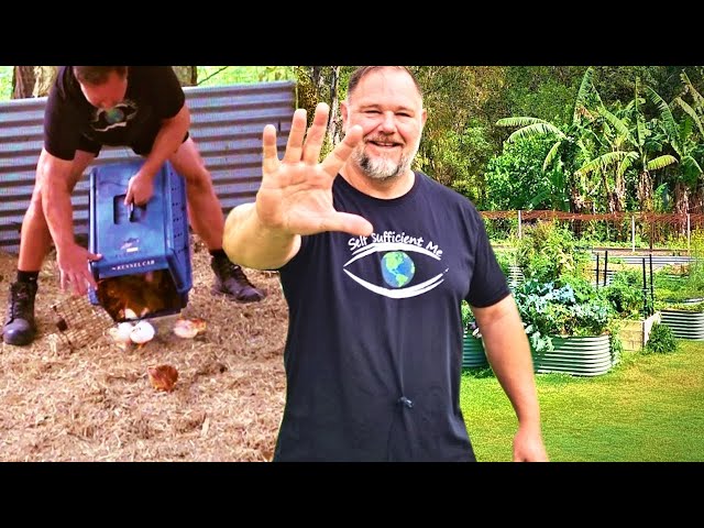 5 Ways to QUICKLY become More Self Sufficient