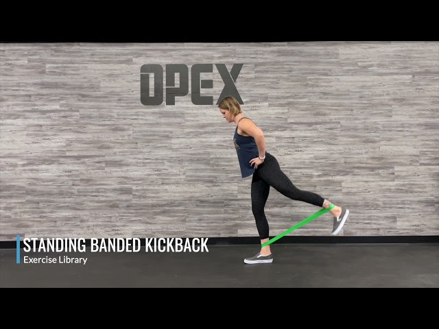 Standing Banded Kickback