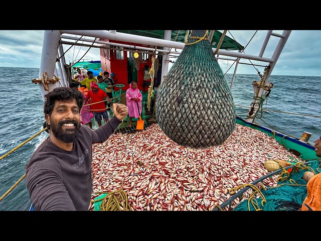 MASSIVE FISHING DAY 🤩🌊 Boat Filled with Kili Fish Catch | UNCUT VIDEO‼️.
