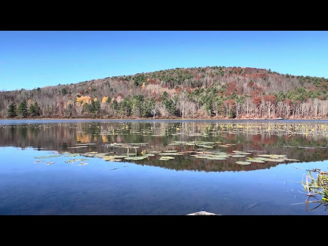 I’m Taking 11 Minutes From You To Help You Relax