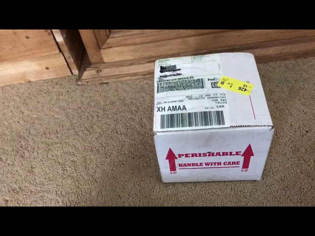 Unboxing Ball Python. SnakesAtSunset