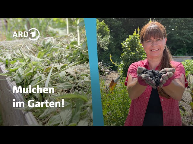 Soil care: How to mulch your garden! │Querbeet