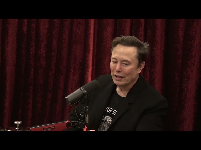 Elon Musk on Joe Rogan - NGOs: The $1.9 Billion Government Scam?